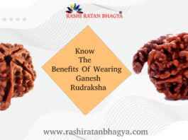 Ganesh Rudraksha